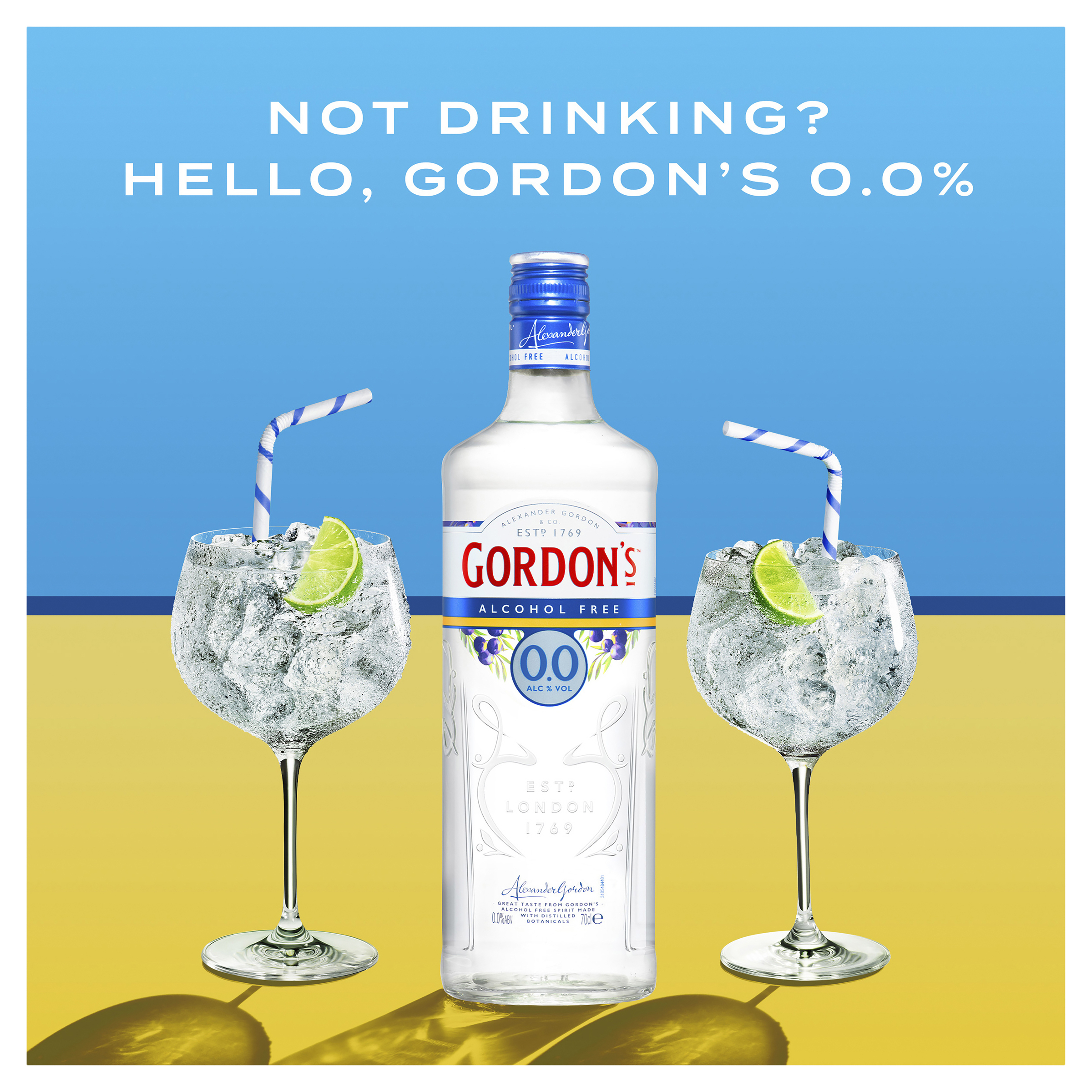 Buy Gordons Zero Alcohol Gin 700mL Online