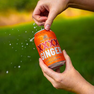 Xxxx Ginger Beer Can 330mL Carton 24 | Liquorland