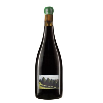 William Downie Gippsland Pinot Noir 750mL Each | Liquorland