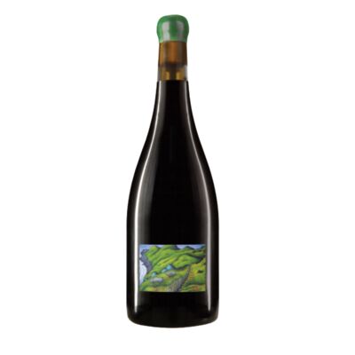 William Downie Mornington Peninsula Pinot Noir 750mL Each | Liquorland