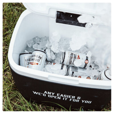 Southern Comfort Cola Cans 375mL 10pk Pack 10 | Liquorland