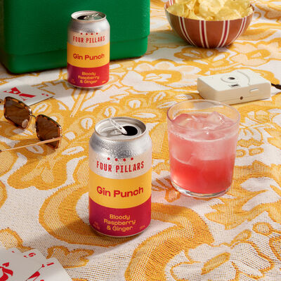 Four Pillars Gin Punch Can 330mL Pack 4 | Liquorland