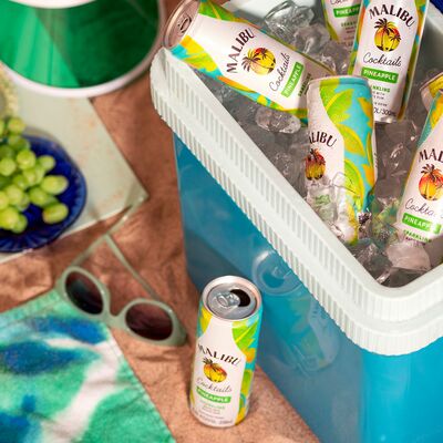 Malibu Pineapple Can 330mL Each | Liquorland