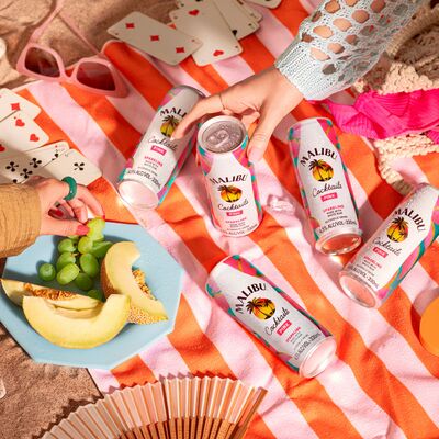 Malibu Pink Can 330mL Each | Liquorland