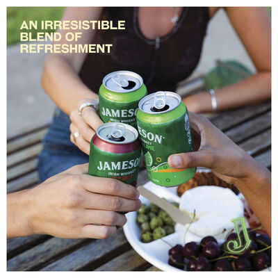 Jameson Smooth Dry Lime 6 3 Can 375mL Pack 4 | Liquorland