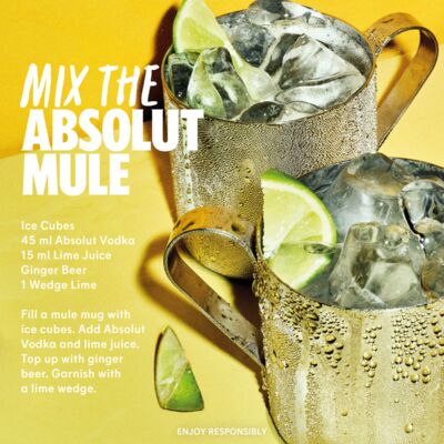 Absolut Lime 700mL Each | undefined