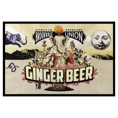Brookvale Union Ginger Beer Can 330mL Carton 24 | undefined