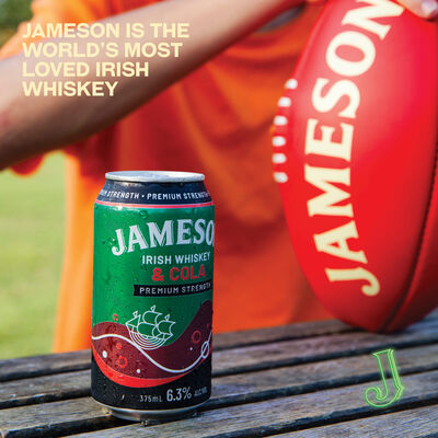 Jameson Raw And Cola 6 3 Can 375mL Pack 4 | Liquorland