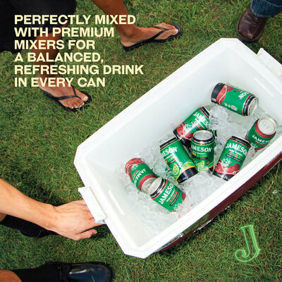 Jameson Raw And Cola 6 3 Can 375mL Each | Liquorland