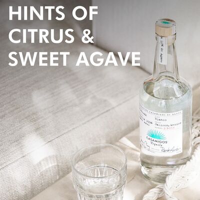 Casamigos Blanco Tequila 700mL Each | undefined