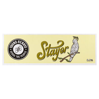 Young Henrys Stayer Mid Can 375mL Carton 24 | Liquorland