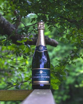 Canard Duchene Brut Nv Champagne Gift Box 750mL Each | undefined