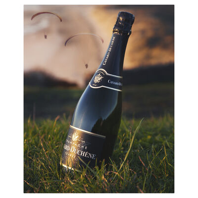 Canard Duchene Brut Vintage Champagne Gift Box 750mL Each | undefined
