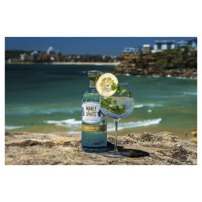Manly Spirits Coastal Citrus Gin 700mL Each | undefined