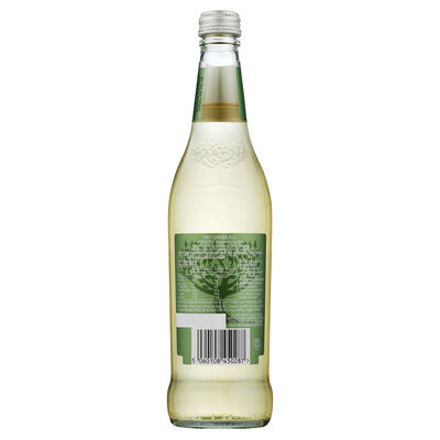 Fever Tree Premium Ginger Ale 500mL Each | Liquorland