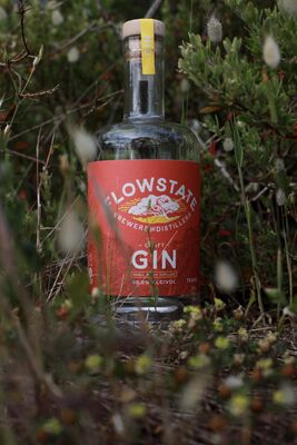 Flowstate Brewers And Distillers Craft Gin 700mL Each | Liquorland
