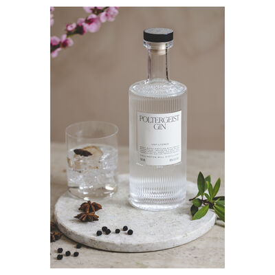 Poltergeist Unfiltered Gin 700mL Each | undefined