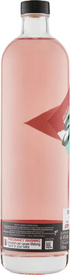 El Sueno Watermelon Liqueur 700mL Each | Liquorland