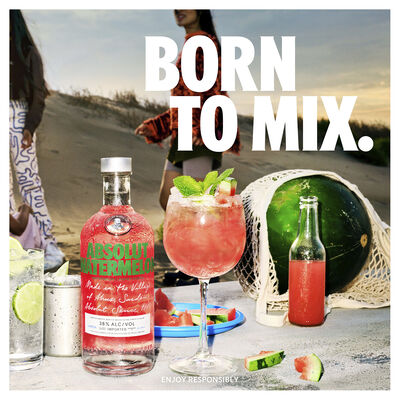 Absolut Watermelon Vodka 700mL Each | undefined