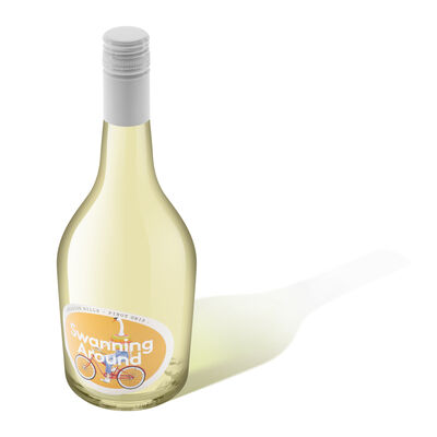 Swanning Around Pinot Gris 750mL Each | Liquorland