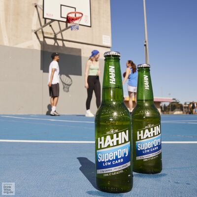 Hahn Super Dry Bottle 330mL Each | Liquorland