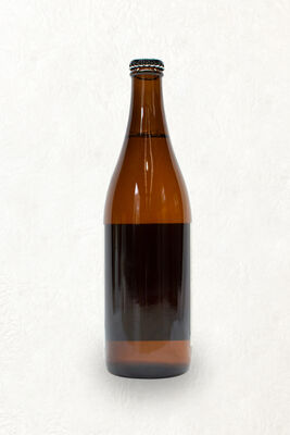 Koshihikari Echigo Beer Bottle 500mL Carton 15 | undefined