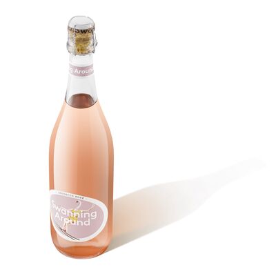 Swanning Around Prosecco Rose 750mL Each | Liquorland