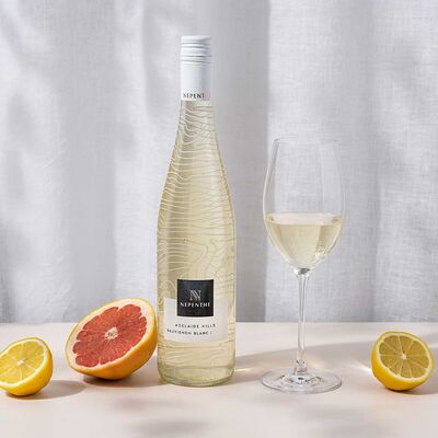Nepenthe Ascend Sauvignon Blanc 750mL Each | Liquorland