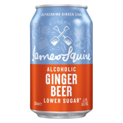 James Squire Ginger Beer Low Sugar Can 330mL Each | Liquorland