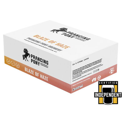 Prancing Pony Hazy Pale Can 375mL Carton 24 | Liquorland