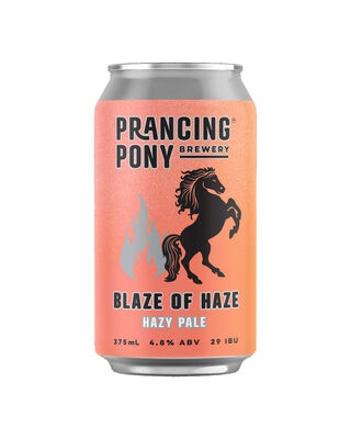 Prancing Pony Hazy Pale Can 375mL Carton 24 | Liquorland