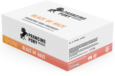 Prancing Pony Hazy Pale Can 375mL Carton 24 | Liquorland