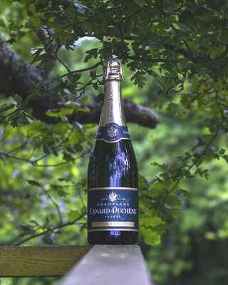 Canard Duchene Brut Nv Champagne 750mL Each | Liquorland