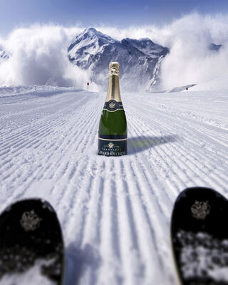 Canard Duchene Brut Nv Champagne 750mL Each | Liquorland