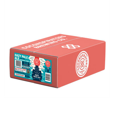 Co Conspirators Hazy Pale Can 355mL Carton 24 | Liquorland