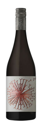 Dandelion Vineyards Mclaren Vale Grenache 750mL Each | Liquorland