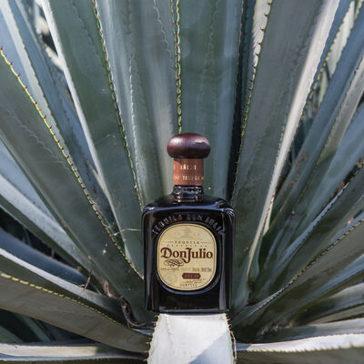 Don Julio Anejo Tequila 750mL Each | Liquorland