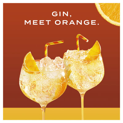 Gordons Mediterranean Orange Gin 700mL Each | Liquorland