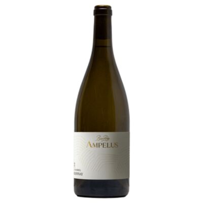 Briar Ridge Ampelus Chardonnay 750mL Each | Liquorland