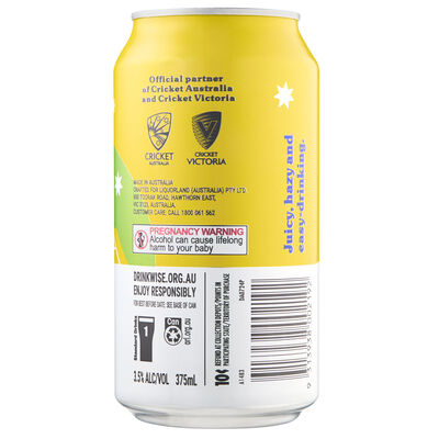 Tinnies Howzat Hazy Pale Ale 3 5 Can 375mL Each | Liquorland