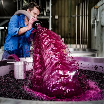 Brokenwood Cabernet Merlot 750mL Each | Liquorland
