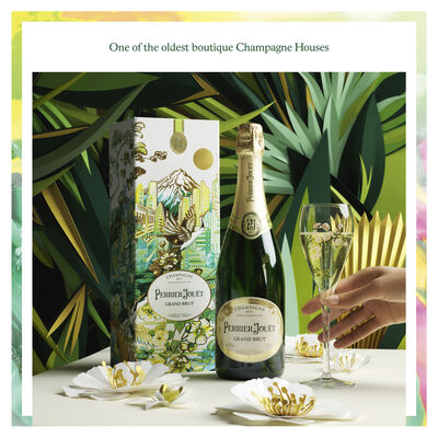 Perrier Jouet Grand Brut Nv Champagne 750mL Each | undefined