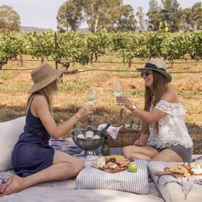 Brokenwood Cricket Pitch White 750mL Each | undefined