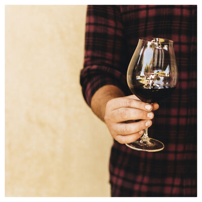 Ata Rangi Pinot Noir 750mL Each | undefined