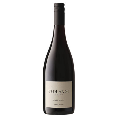 Toolangi Vineyard Pinot Noir 750mL Each | undefined