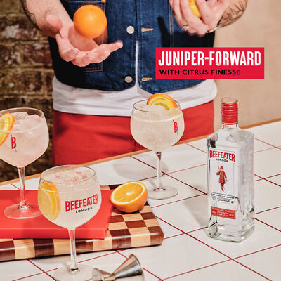 Beefeater London Dry Gin 700mL Each | Liquorland