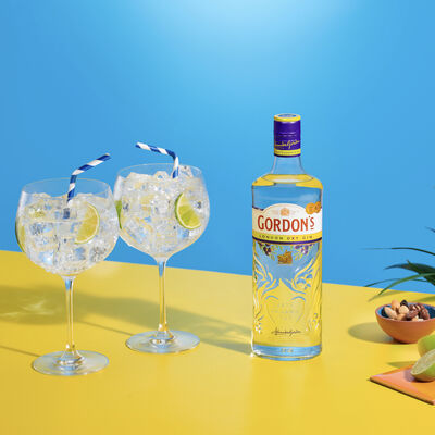 Gordons Dry Gin 1 Litre Each | undefined