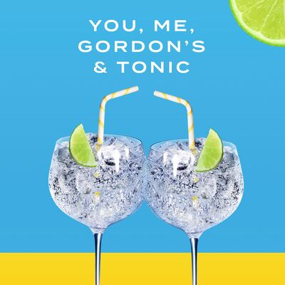 Gordons Dry Gin 1 Litre Each | undefined