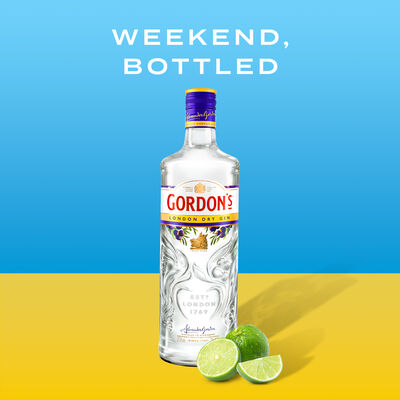Gordons Dry Gin 1 Litre Each | undefined