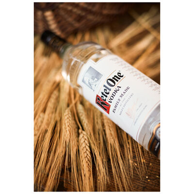 Ketel One Vodka 700mL Each | Liquorland